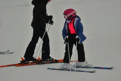 DSC_6724 (Large).JPG